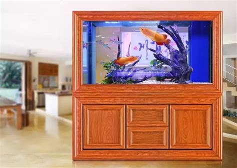 2023年魚缸擺放位置 山形金魚